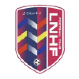 武汉车谷江大女足